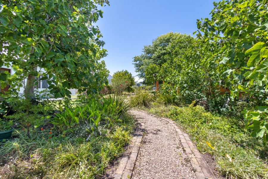 Commercial Property for Sale in Wittedrift Western Cape